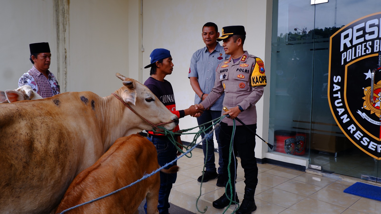 Polres Bondowoso Berhasil Temukan dan Kembalikan 3 ekor Sapi yang Hilang Pemilik Tersenyum Riang