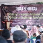 img 20250508 wa0119