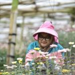 utur jadi komoditas unggulan pasuruan dipanen tiap hari hingga kirim ke bali img 20260123 wa0005