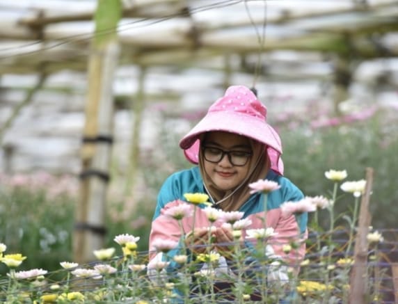 utur jadi komoditas unggulan pasuruan dipanen tiap hari hingga kirim ke bali img 20260123 wa0005