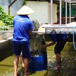 f93077d1 a031 46c4 958f c4cf533608b5