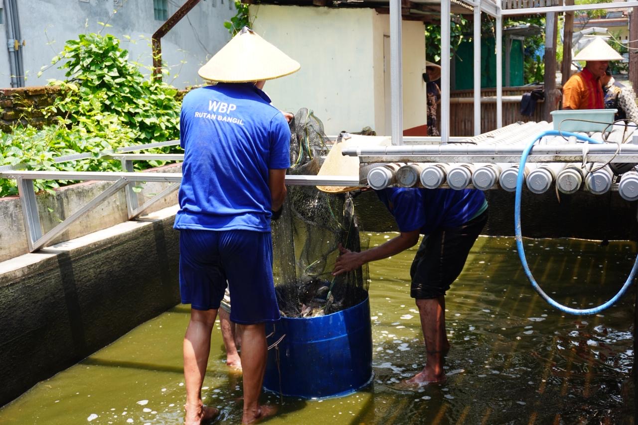 f93077d1 a031 46c4 958f c4cf533608b5