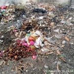 868ac9c9 79cb 48e0 8dfd f09b91bb3bc9