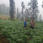 img 20260605 wa0022